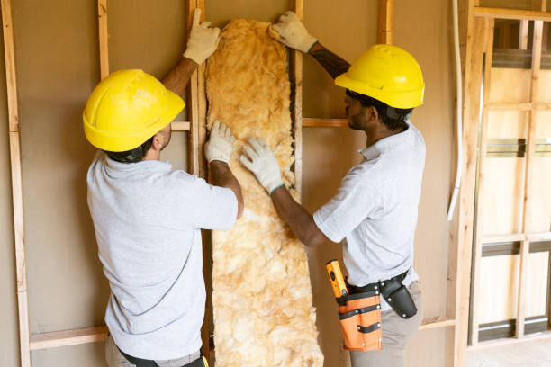 Best Wall Insulation Installation  in Ashville, AL